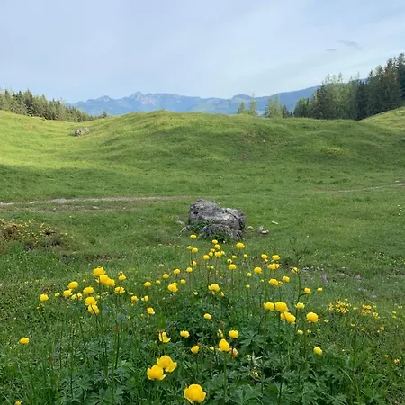 - Valleyviewinn