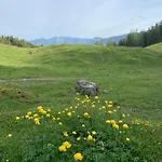 - Valleyviewinn